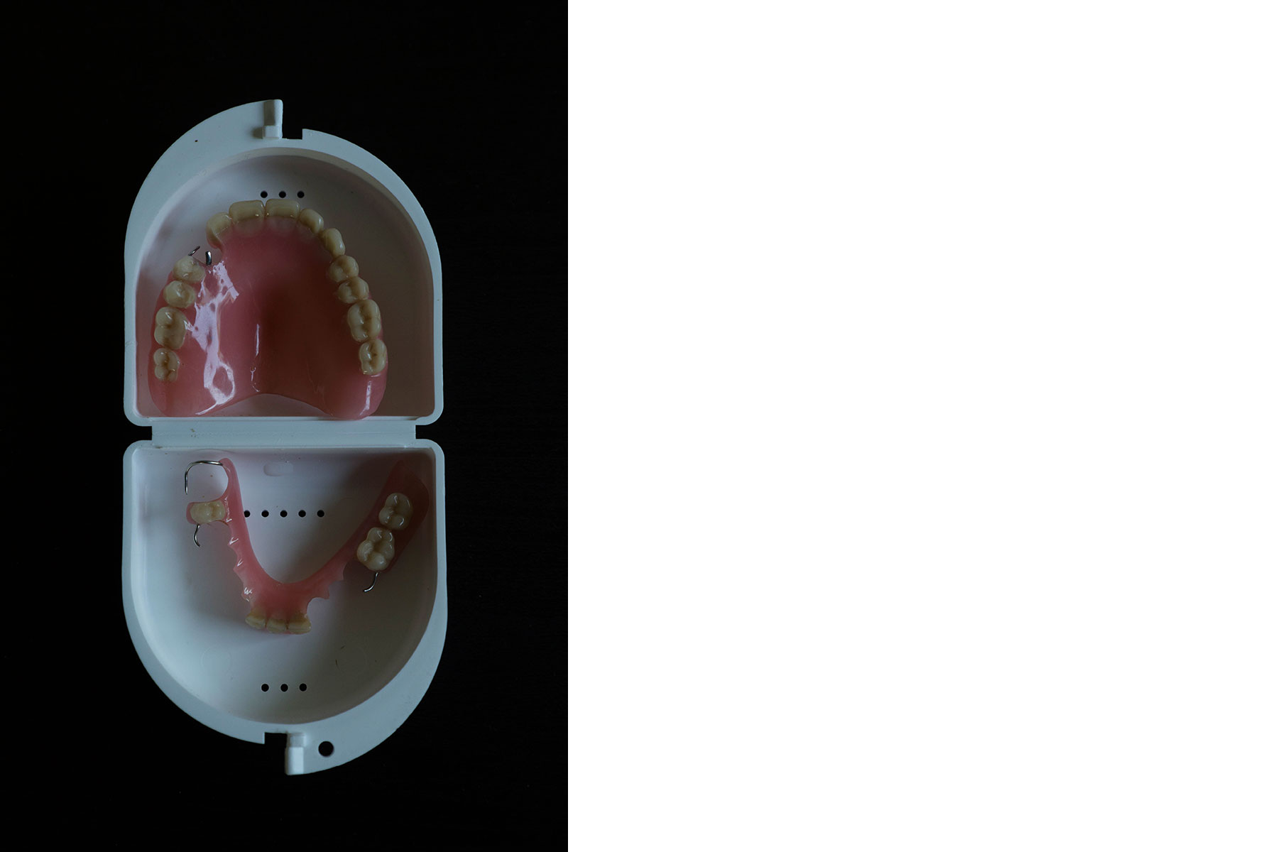 Teeth