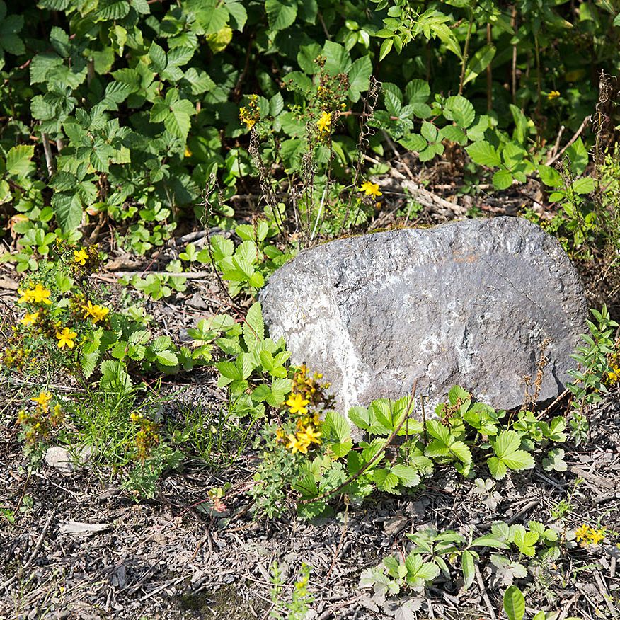 Schurenbachhalde